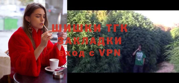 МДПВ Горнозаводск
