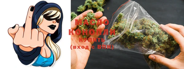 индика Горняк