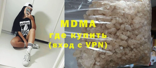 индика Горняк