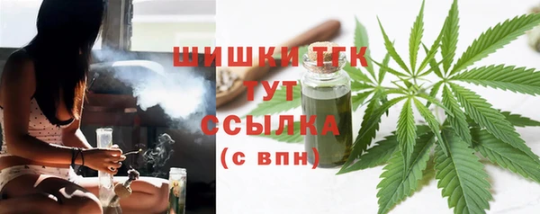 тгк Горно-Алтайск