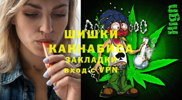 индика Горняк