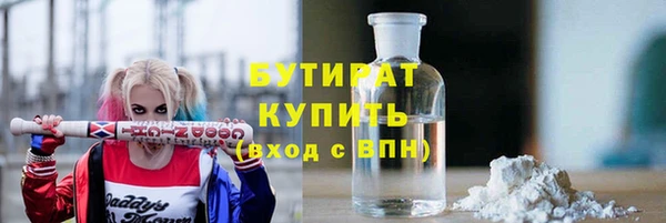 индика Горняк