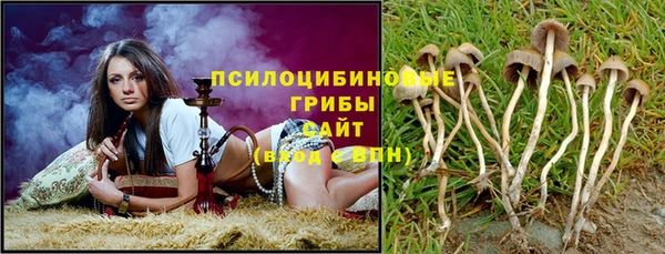 spice Гусев