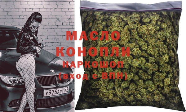 индика Горняк