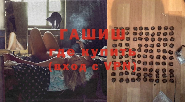 индика Горняк