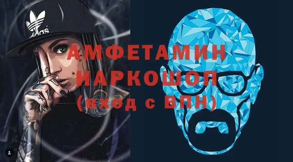 индика Горняк