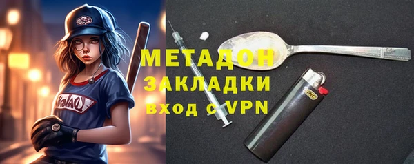 индика Горняк